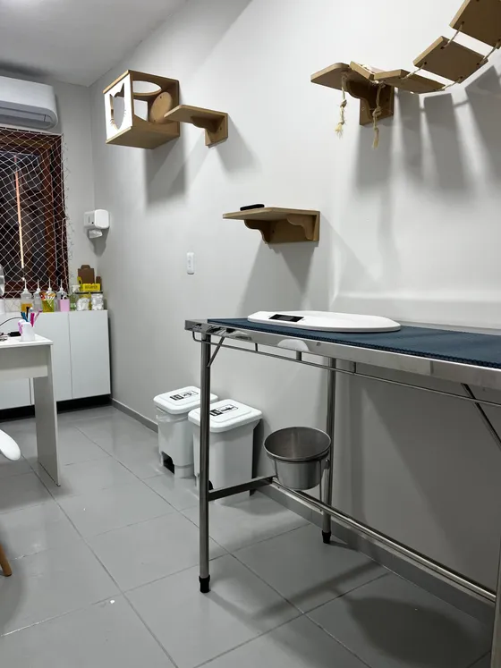 Consultório — Exclusivo para gatos.